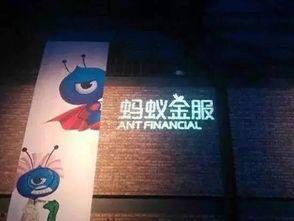 蚂蚁金服爆料视频,揭秘其创新科技与业务布局的独家视频解析