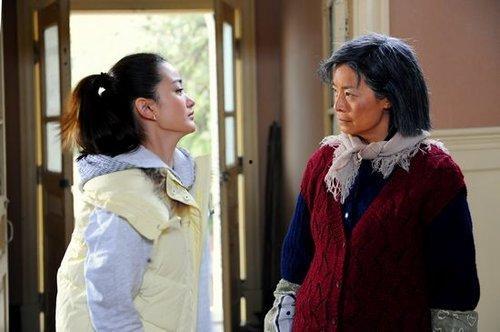 在线观看婆婆来了,家庭关系的温馨演绎